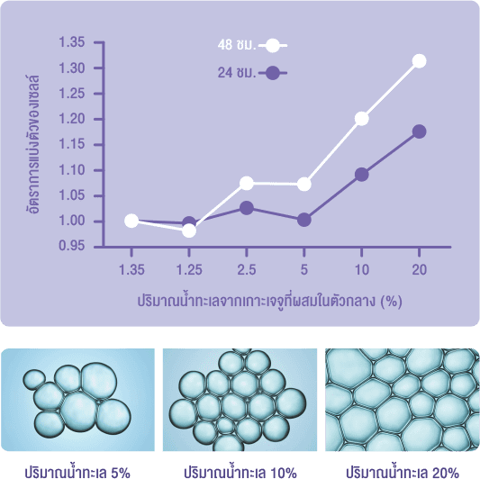 DEW_website_amethyst_2021_pic_10-labtest-4