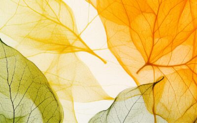 ผิวบอบบาง แพ้ง่าย