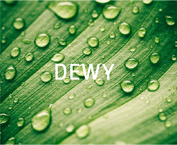 DEW_website_luminious_2022_V1_03_dewy