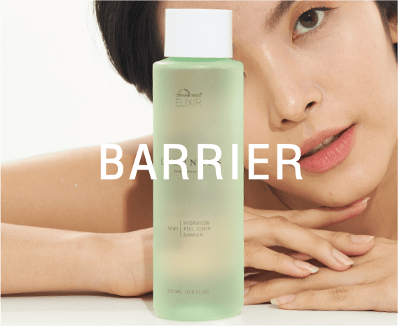 DEW_website_luminious_2022_V1_06_barrier