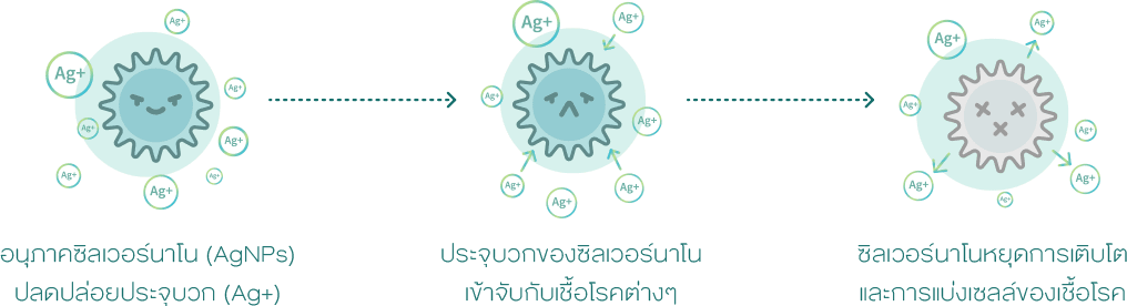 DEW_website_luminious_2022_V1_29_lab-test_06_desktop