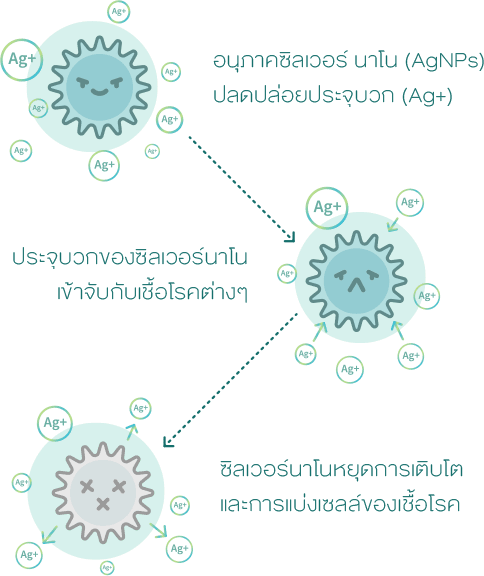 DEW_website_luminious_2022_V1_29_lab-test_06_mobile
