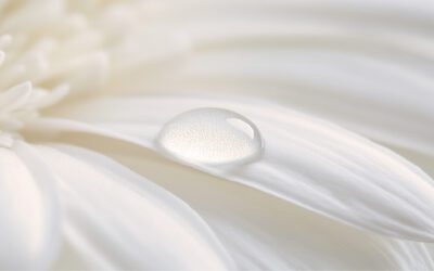 ประโยชน์ของน้ำค้างต่อร่างกายและผิวหนัง ที่คุณอาจไม่เคยรู้