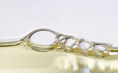 เคล็ดลับผิวสวยอ่อนเยาว์ ด้วย กาแลคโตมัยเซส หรือ GFF สารสกัดโด่งดังแห่งเอเชีย